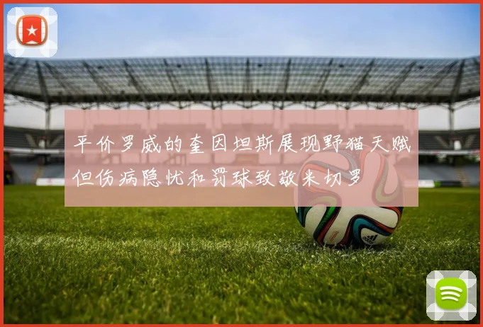 平价罗威的奎因坦斯展现野猫天赋但伤病隐忧和罚球致敬米切罗