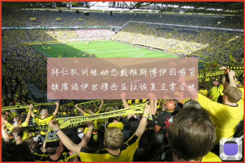拜仁队训练动态戴维斯博伊因感冒缺席诺伊尔穆西亚拉恢复正常合练